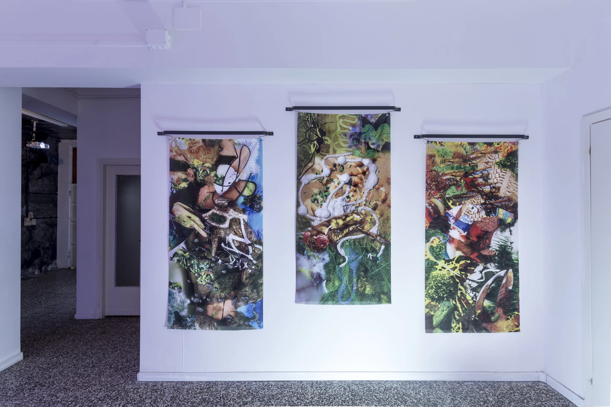 Eva Papamargariti, Facticious Imprints, 2016, serie en curso, vista de instalación