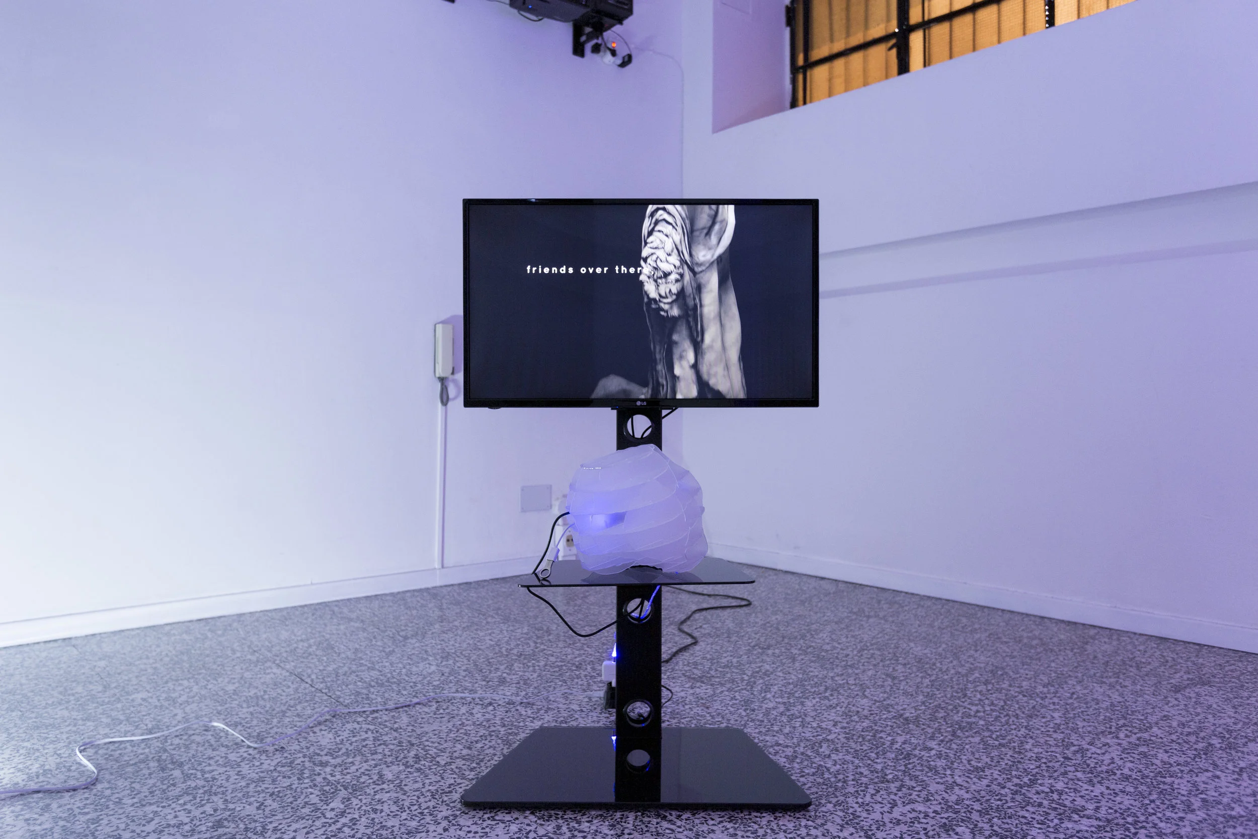 Anne De Boer, I am breathing, 2016, ongoing series, vista de instalación