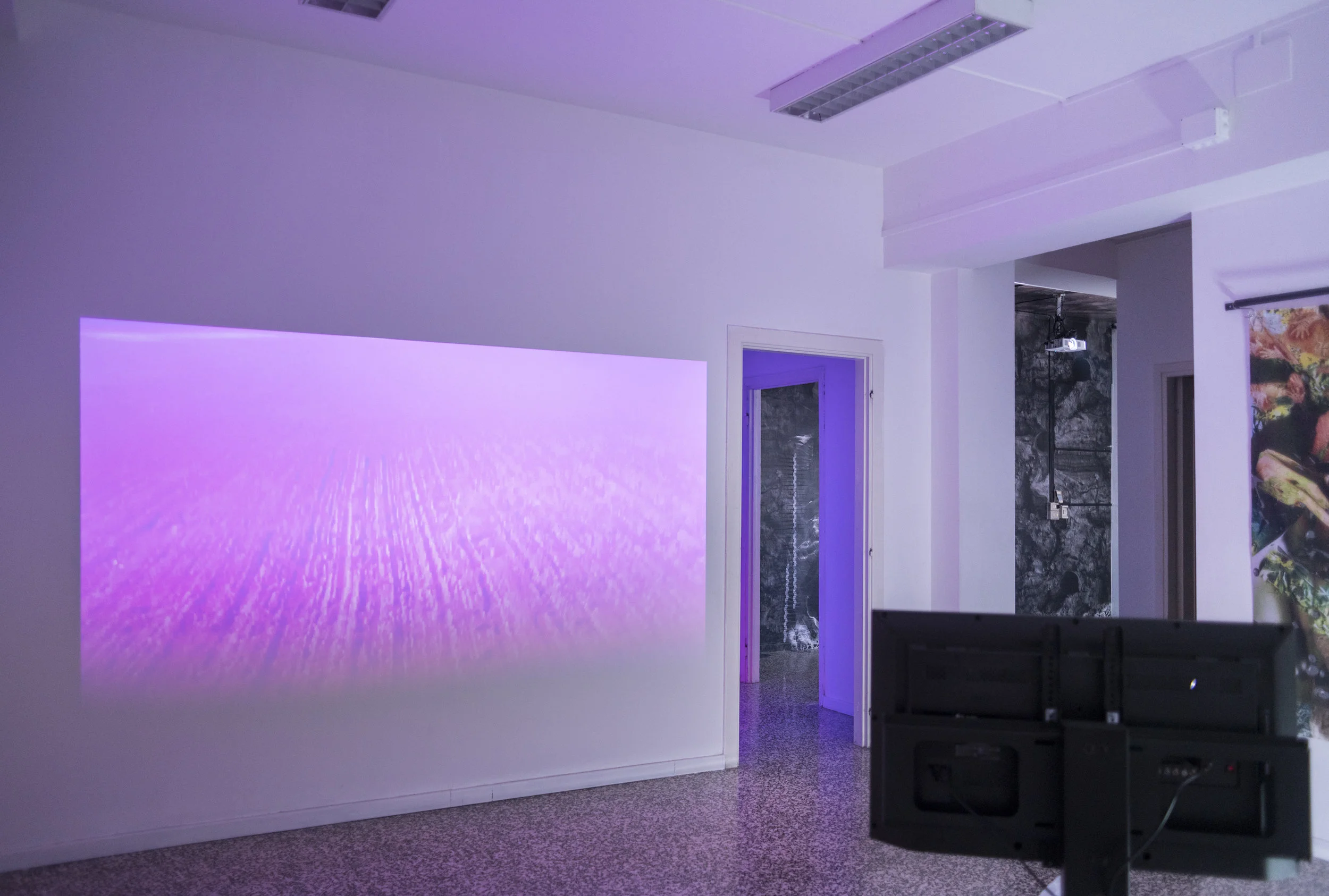  Izquierda:&nbsp;Anna Mikkola, Molecular Eye, 2017 &nbsp; Derecha: Anne De Boer, I am Breathing, 2016, serie en curso 
