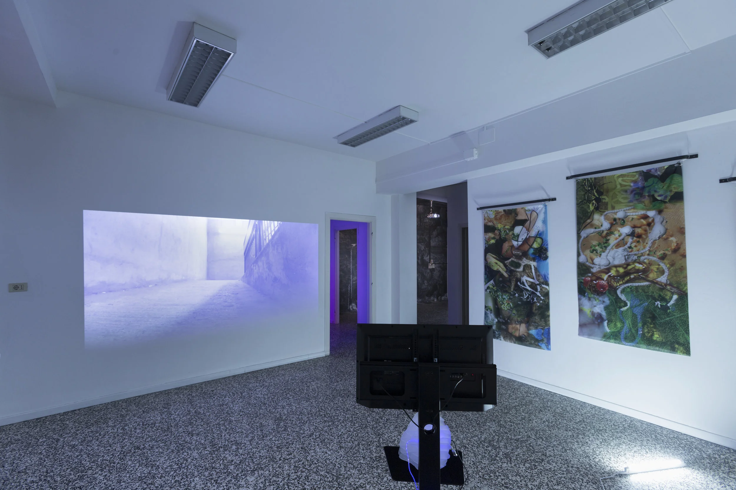  Left: Anna Mikkola, Molecular Eye, 2017 &nbsp; &nbsp; &nbsp; &nbsp;Center: Anne De Boer, I am Breathing, 2016, ongoing series &nbsp; &nbsp; &nbsp; &nbsp;Right: Eva Papamargariti, Facticious Imprints, 2016, ongoing series  