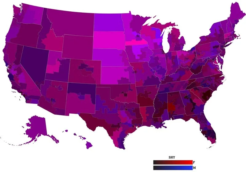   A More Perfect Union  (DuBois, 2011) 