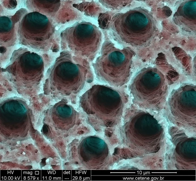 Microphoto