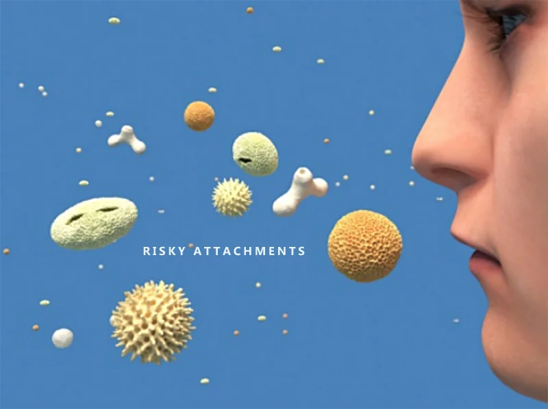 RISKY ATTACHMENTS.jpg