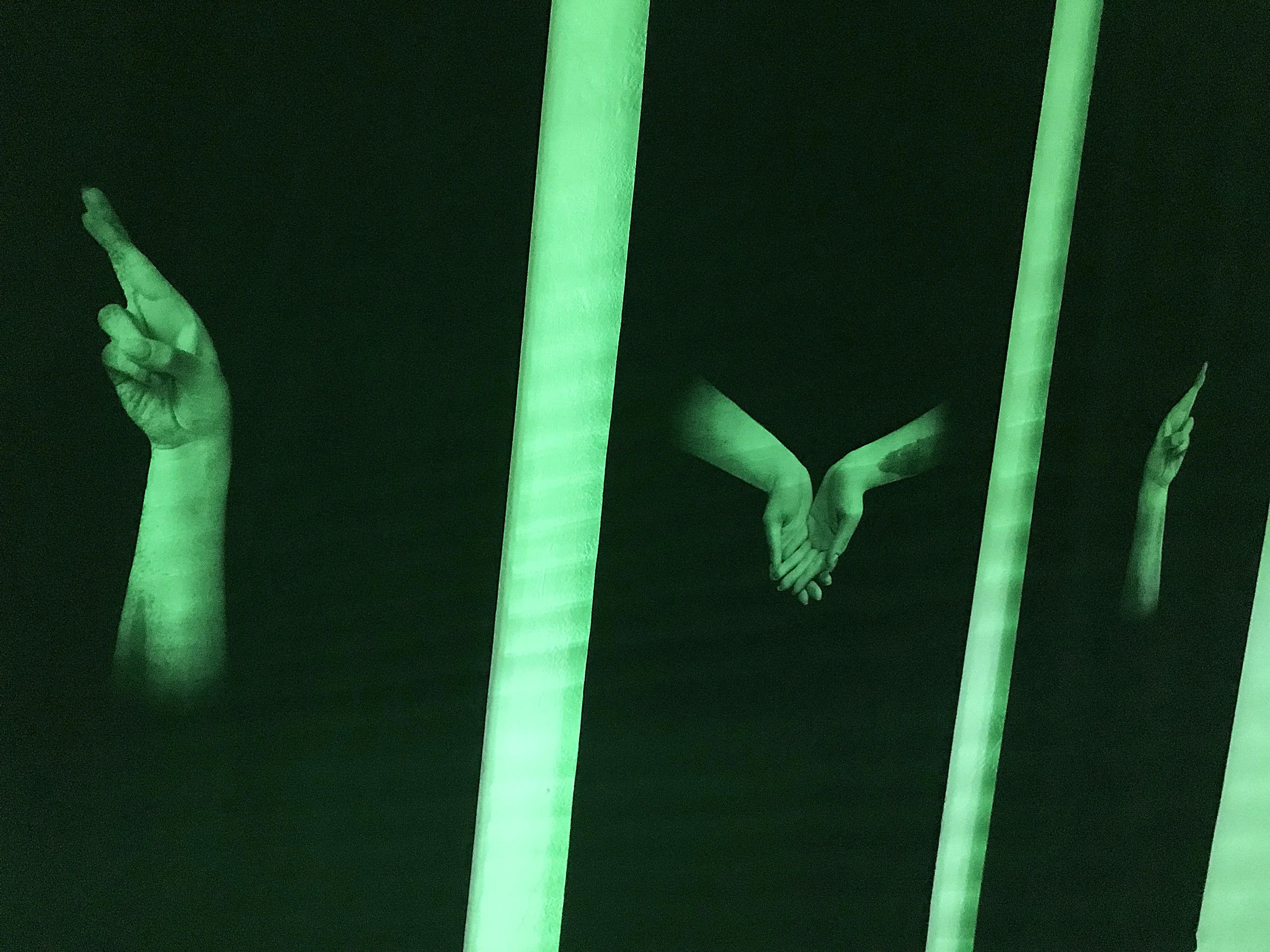 46 Tania Fiaccadori, Sea-Monkeys Cult, nighttime installation view, 2018.JPG