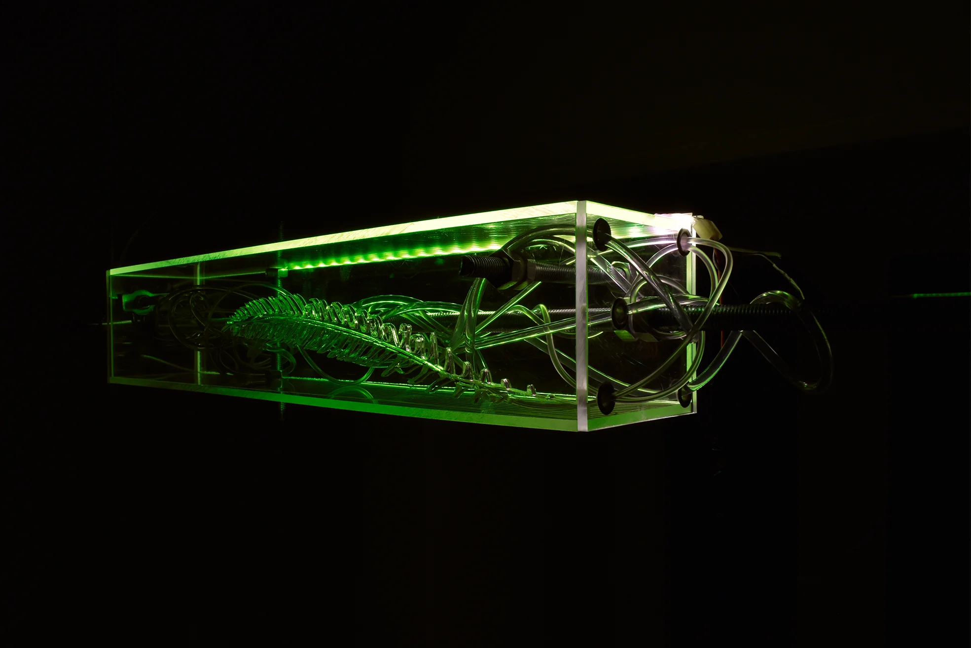 Alexandra Koumantaki, Luminous Pois