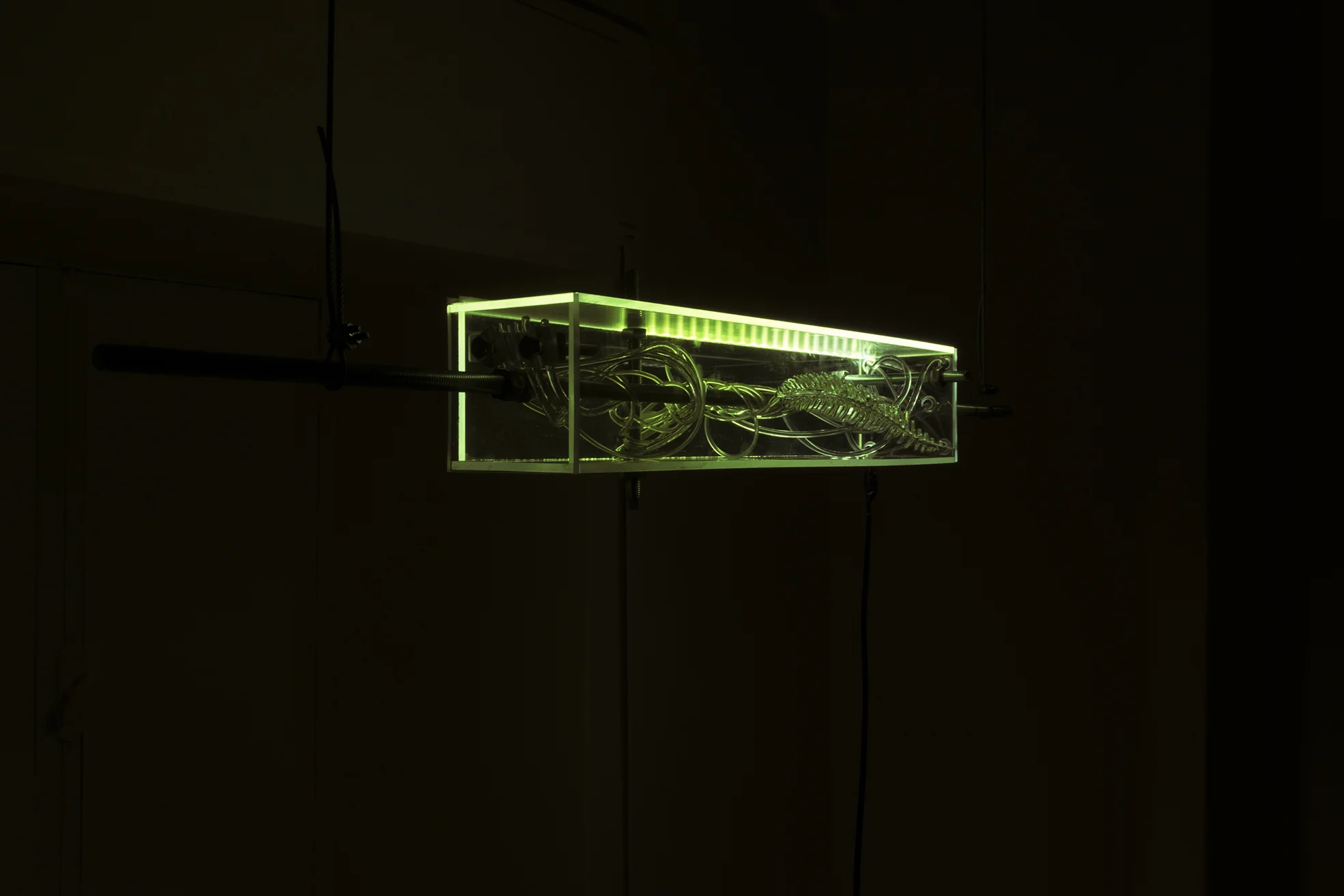 Alexandra Koumantaki, Luminous Pois