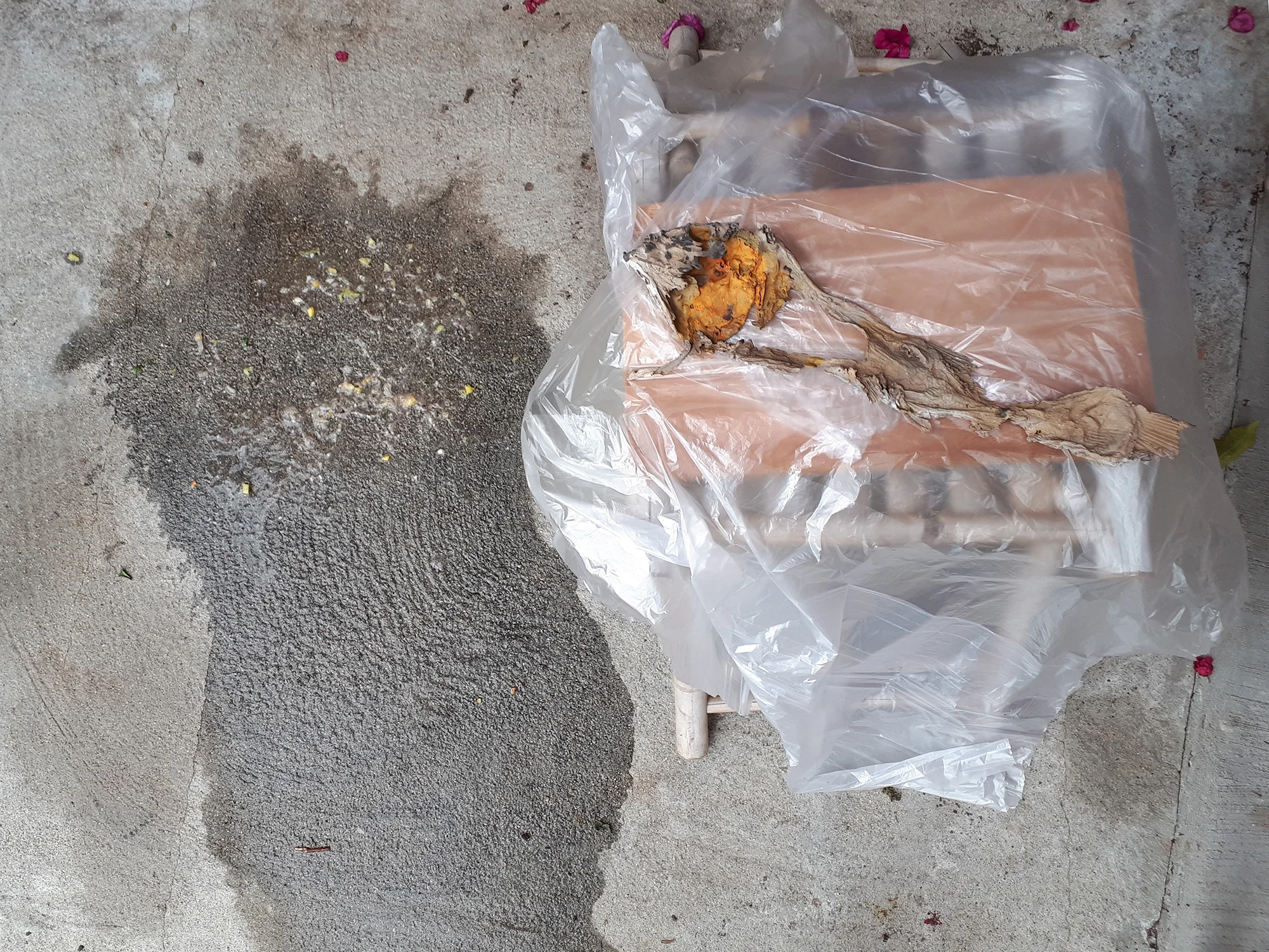 013_luca_francesconi_eternal_digestion.jpg