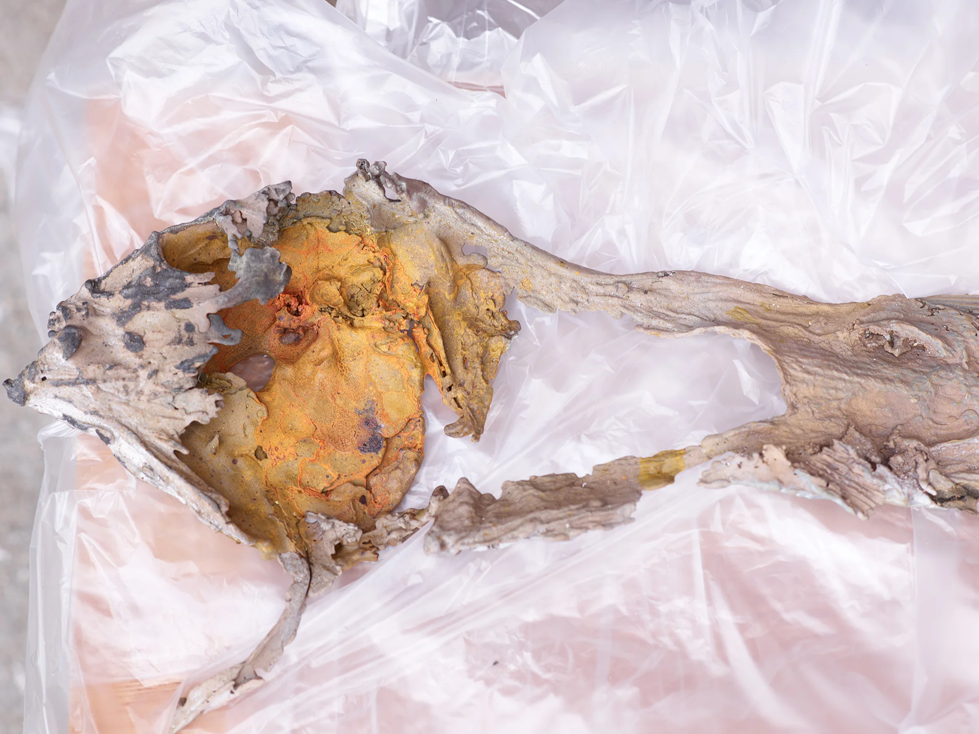 017_luca_francesconi_eternal_digestion.jpg