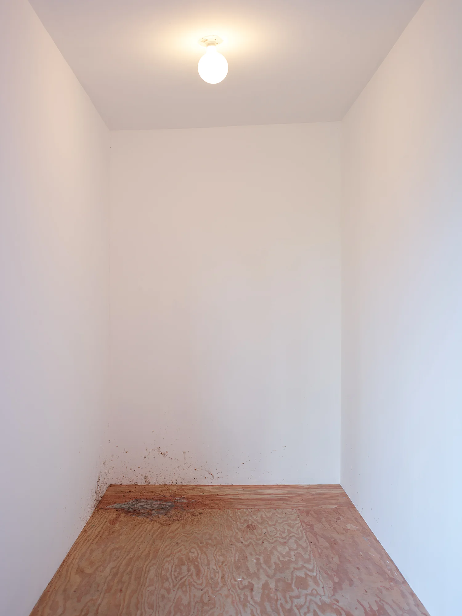 09_luca_francesconi_eternal_digestion.jpg