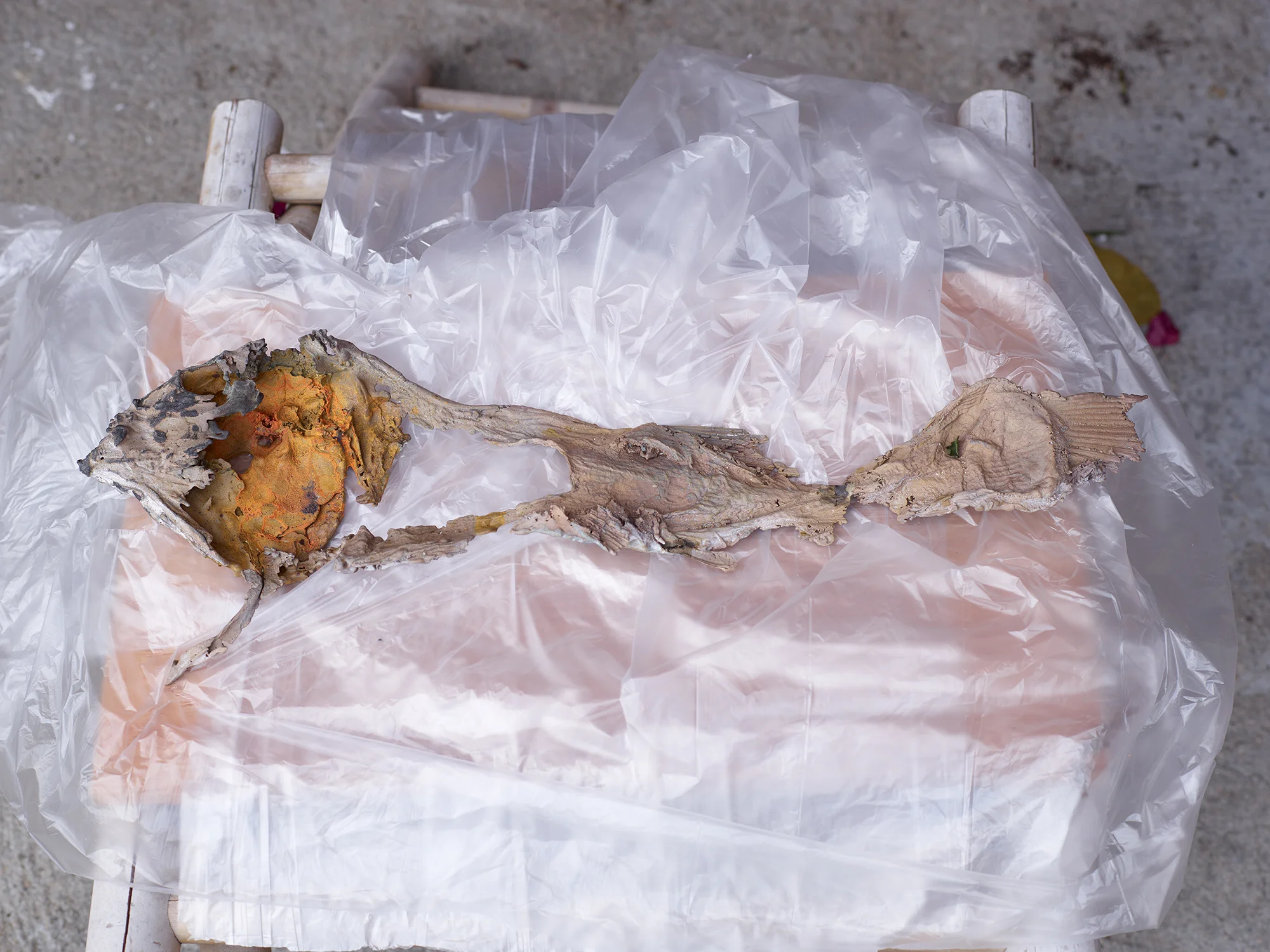 016_luca_francesconi_eternal_digestion.jpg
