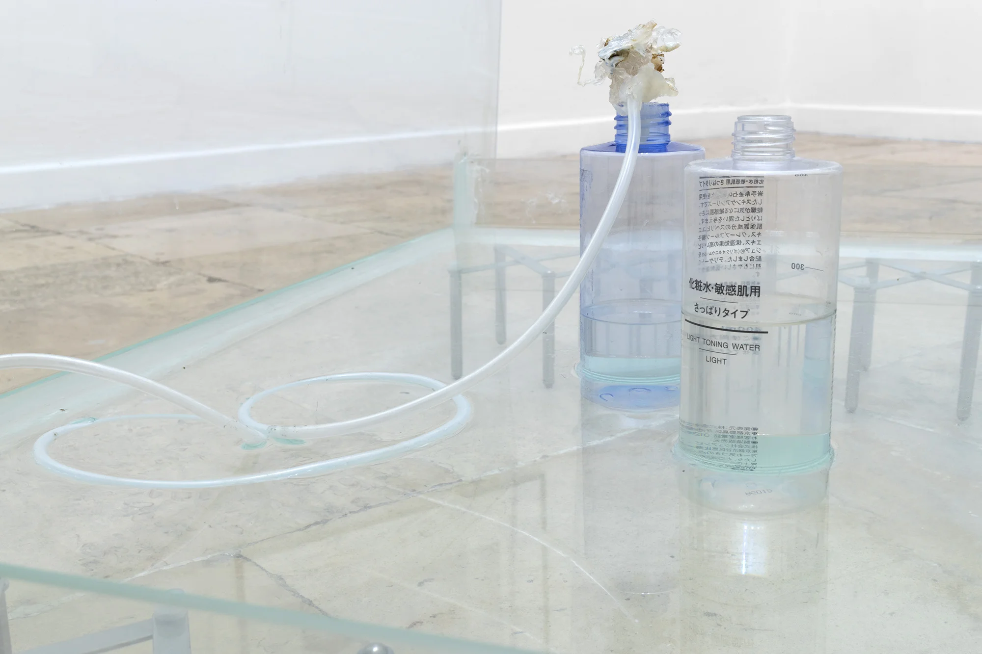 Monia Ben Hamouda, Holding Hands as a Cup (we found each other), 2018