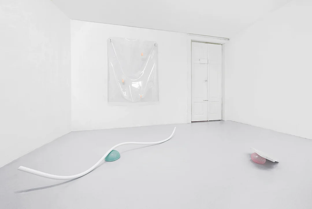 6 Mit Borras LOVE DRONE, exhibition view. Dimora Artica (ph. Michele Fanucci).jpg
