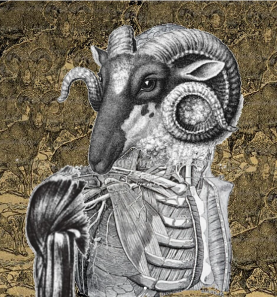 Twelve Astronomy x Demmi Mora