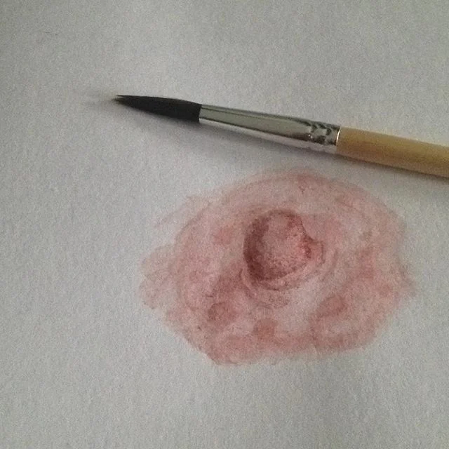 Femigrafía x Paulina Lorena Vazquez González