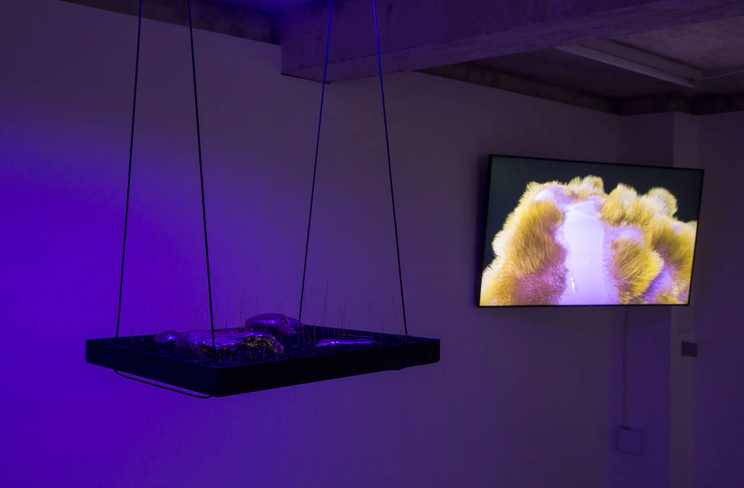 Yen Chun Lin, “Initially, the terrain has no grass or details available but if you click the Edit Details button in the inspector, you will see the Add Grass Texture and Add Details Mesh options on the menu that appears , 2018; Lucia Sgrafetto, Mole Count , 2018