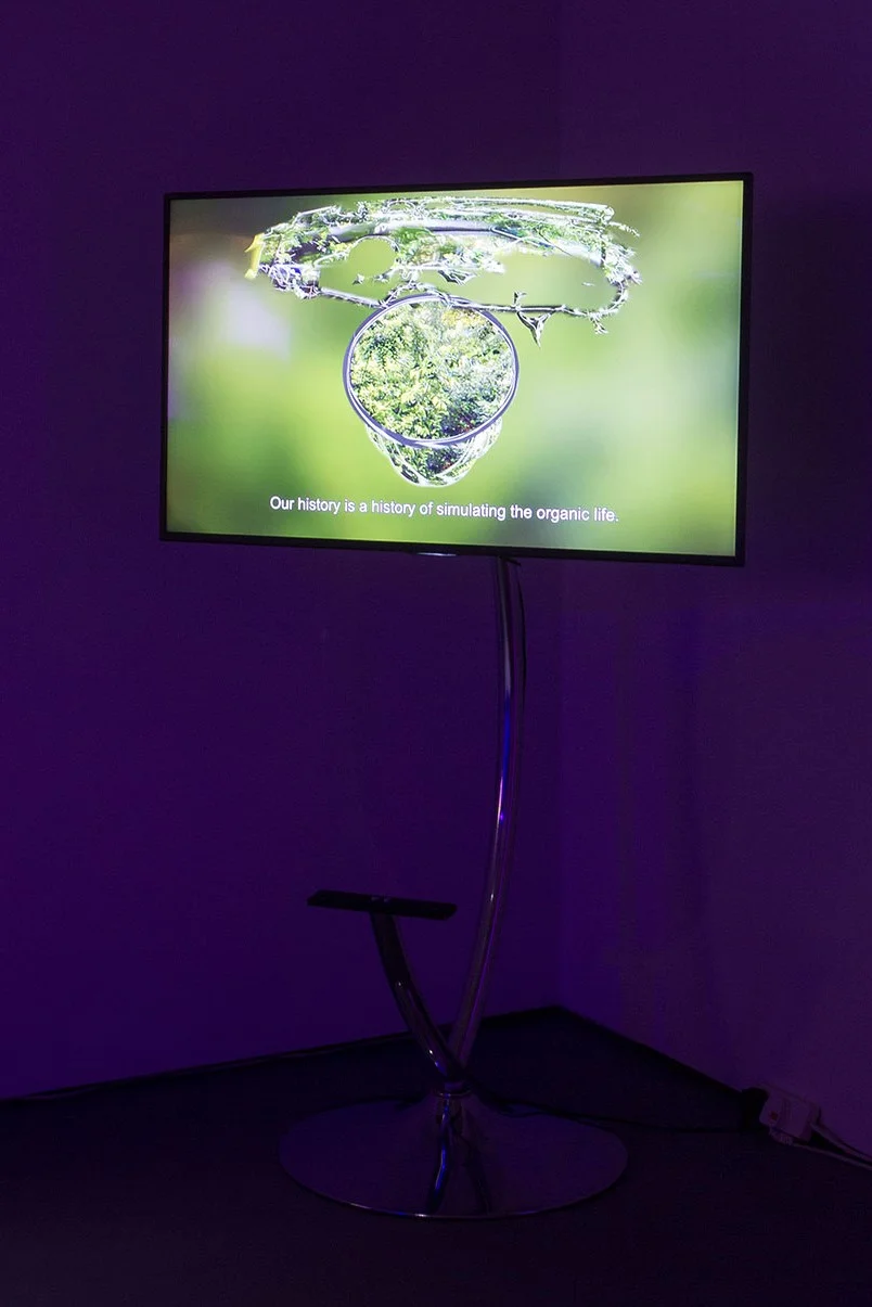 Natália Trejbalová, The Unusual Adventure of Riding in Silence, 2018