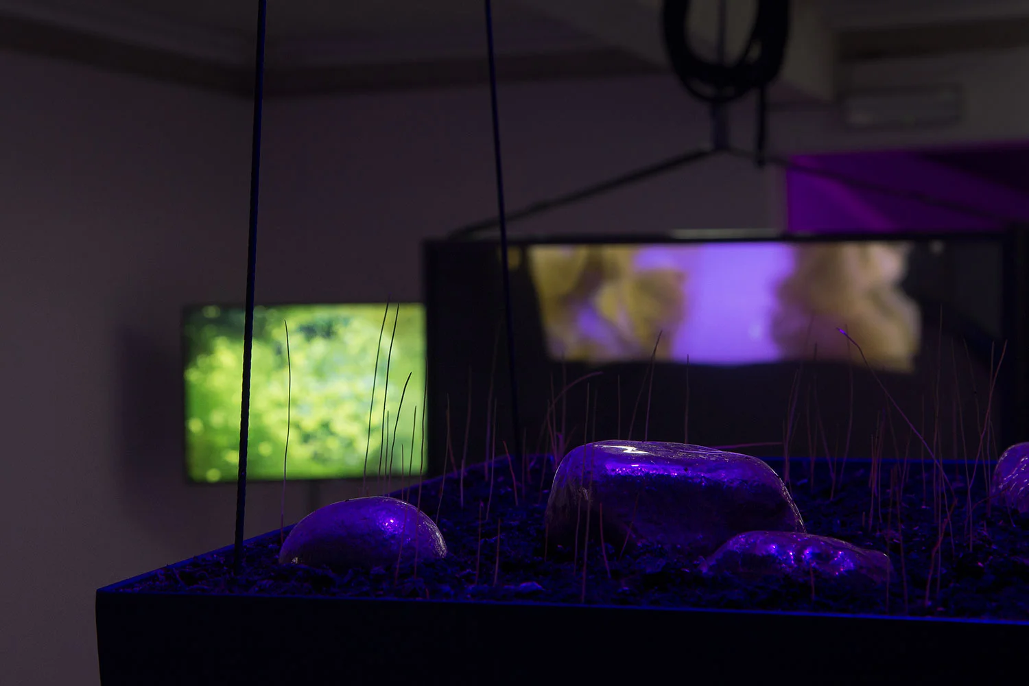  Yen Chun Lin,  Object Temporarily Removed for Conservation,  2018; Lucia Sgrafetto,  Mole Count , 2018     