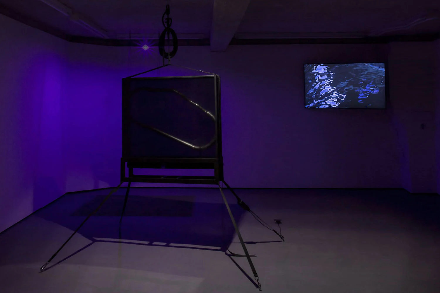  Yen Chun Lin,  Object Temporarily Removed for Conservation,  2018; Lucia Sgrafetto,  Mole Count , 2018     