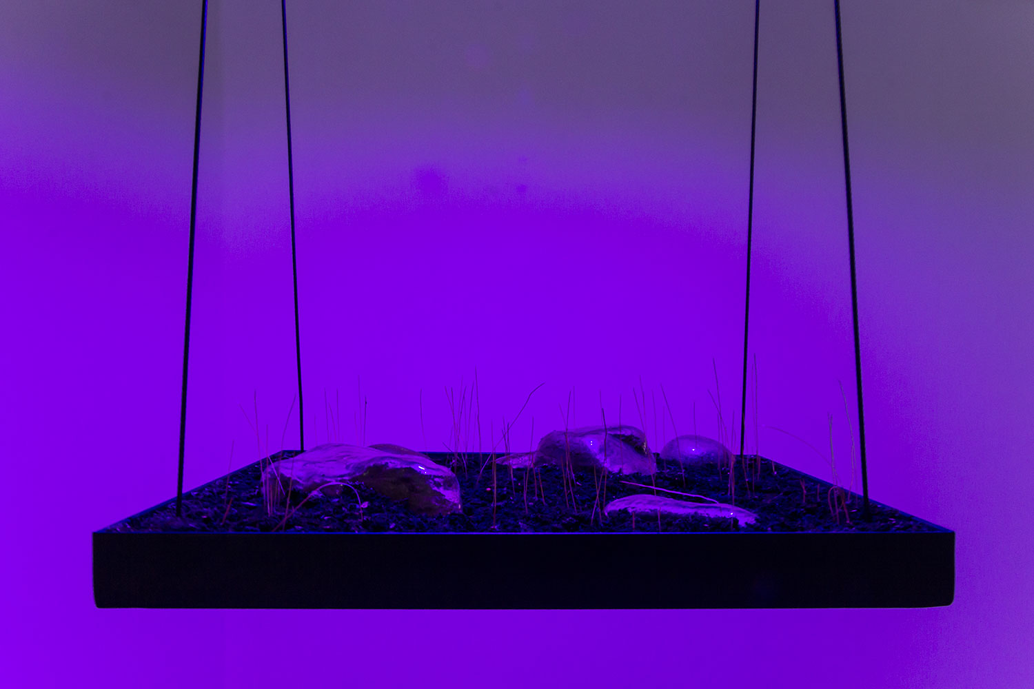  Yen Chun Lin,  “Initially, the terrain has no grass or details available but if you click the Edit Details button in the inspector, you will see the Add Grass Texture and Add Details Mesh options on the menu that appears , 2018     
