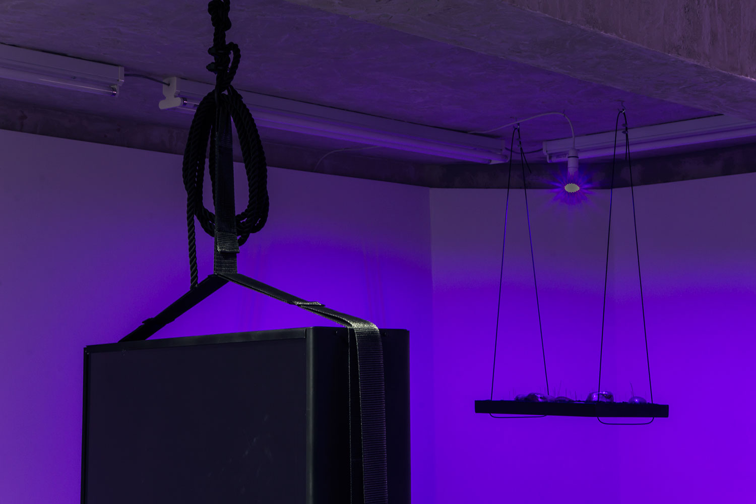 Yen Chun Lin, “Initially, the terrain has no grass or details available but if you click the Edit Details button in the inspector, you will see the Add Grass Texture and Add Details Mesh options on the menu that appears , 2018; Yen Chun Lin, Object Temporarily Removed for Conservation, 2018