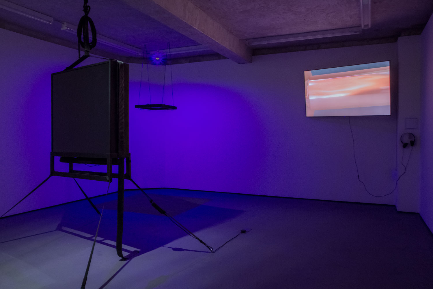  Yen Chun Lin,  Object Temporarily Removed for Conservation,  2018; Lucia Sgrafetto,  Mole Count , 2018     