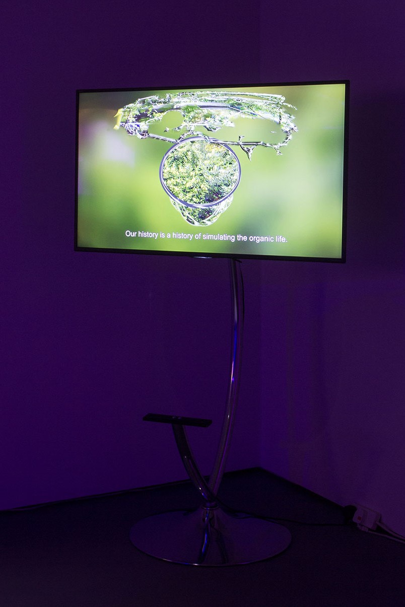 Natália Trejbalová, The Unusual Adventure of Riding in Silence, 2018