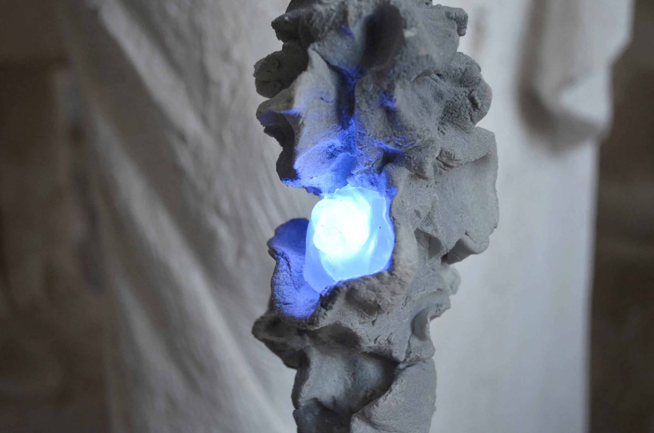 Alexandra Koumantaki, Primeval Synthesis