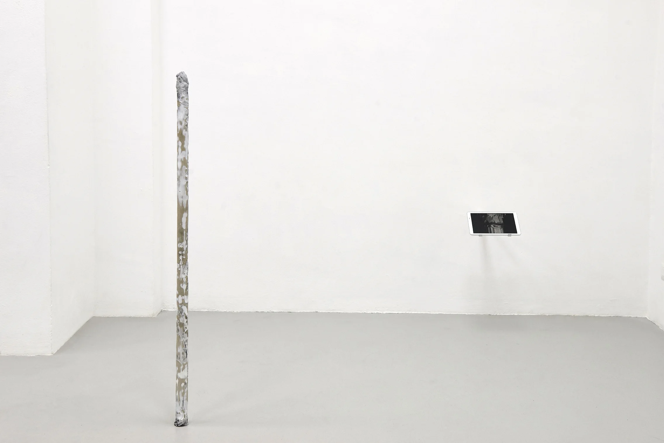 24 Screen Tearing. Work by Agostino Bergamaschi. Dimora Artica (ph Michele Fanucci).jpg