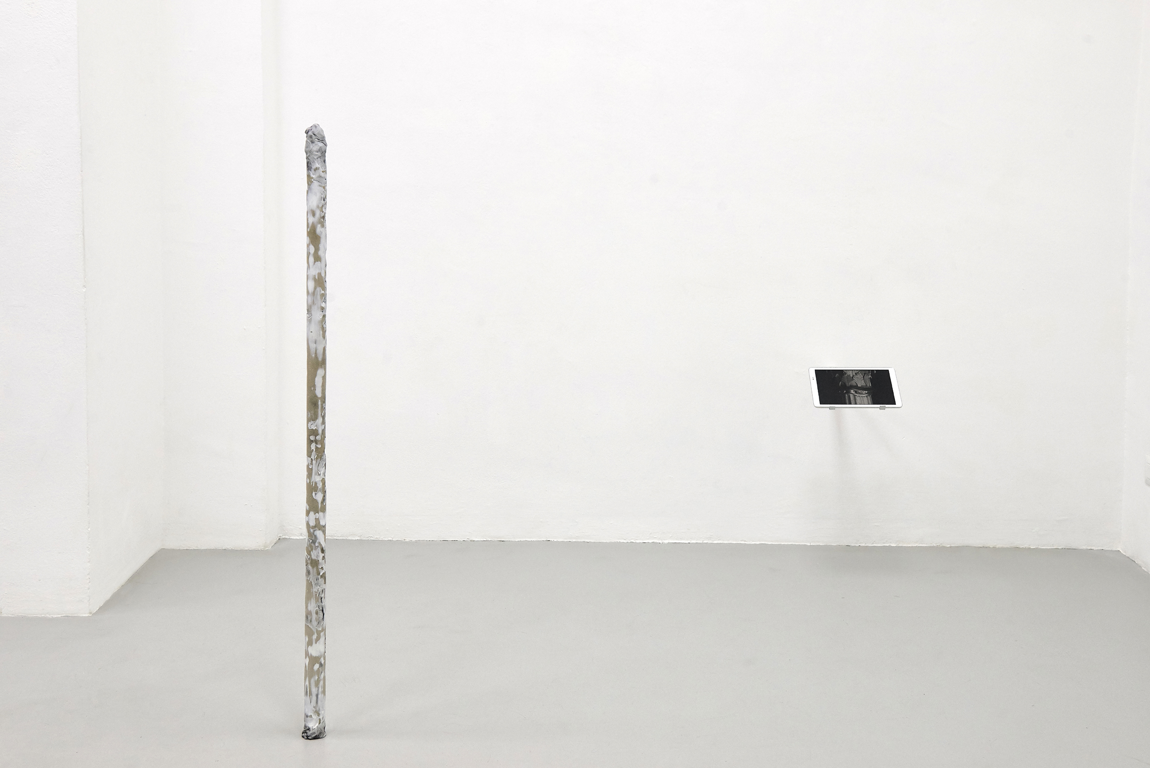24 Screen Tearing. Work by Agostino Bergamaschi. Dimora Artica (ph Michele Fanucci).jpg