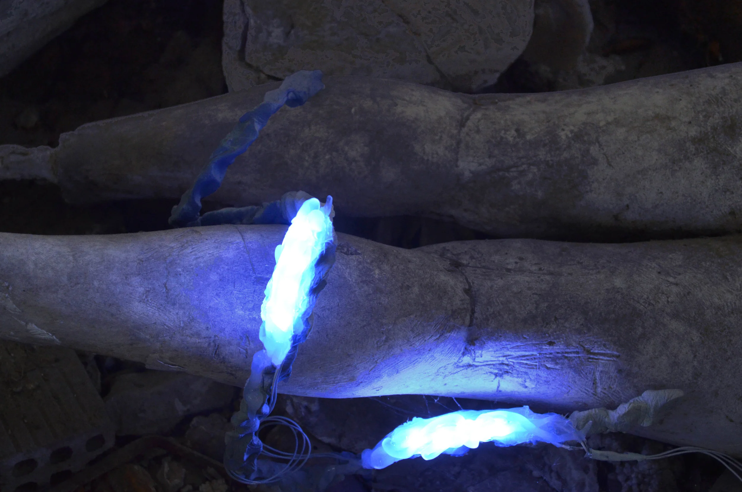 26_Alexandra Koumantaki_Primeval Form x1.0.JPG