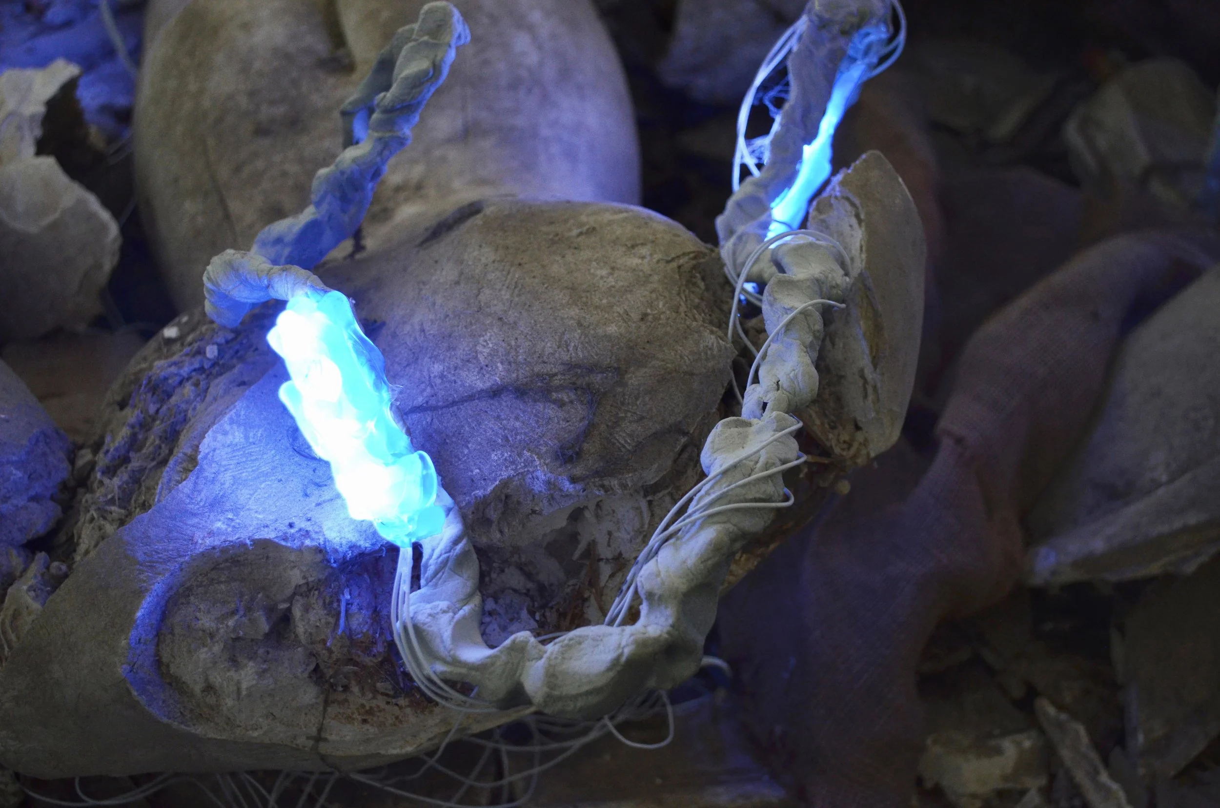 27_Alexandra Koumantaki_Primeval Form x1.0.JPG