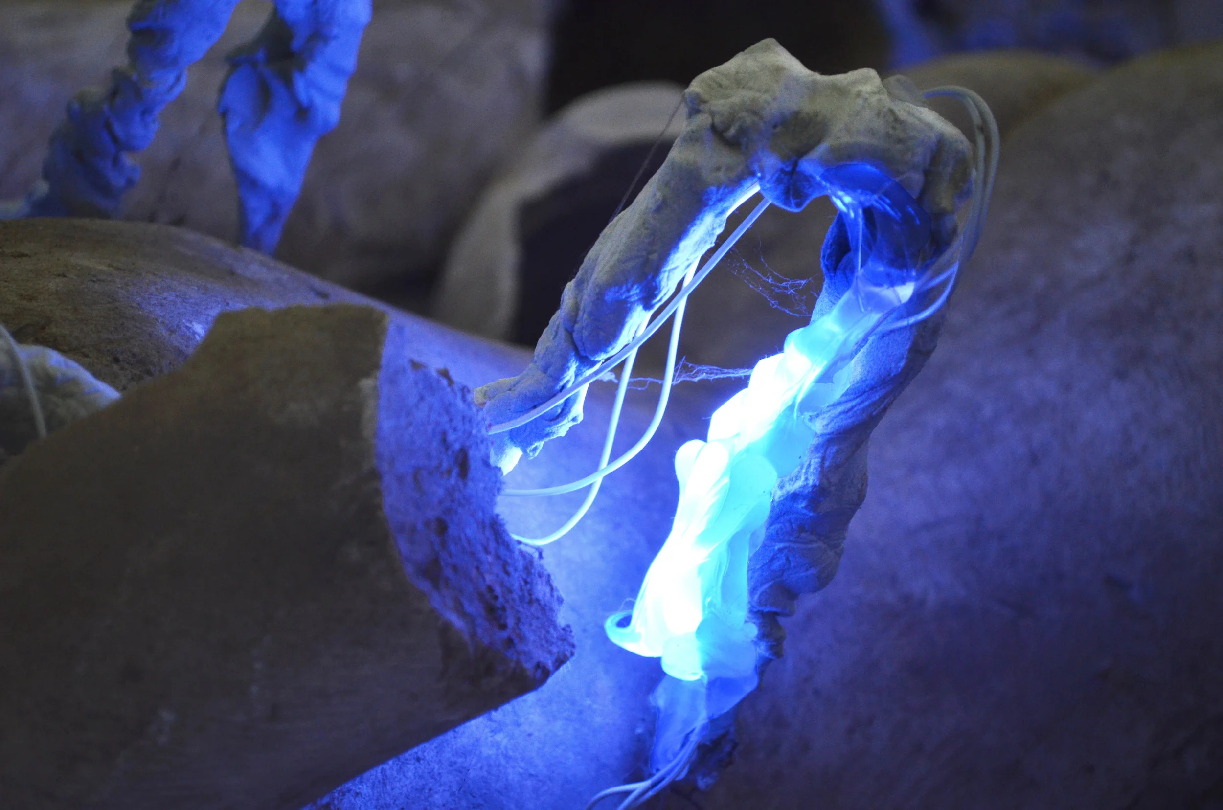 28_Alexandra Koumantaki_Primeval Form x1.0.JPG