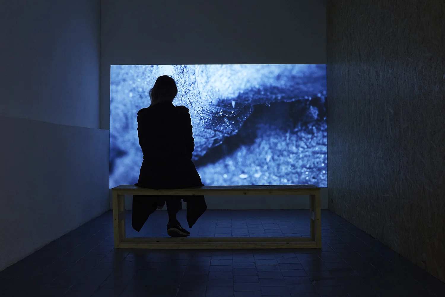 Installation view of the exhibition, ‘Extra-Planetary Commitment’, lítost gallery,
