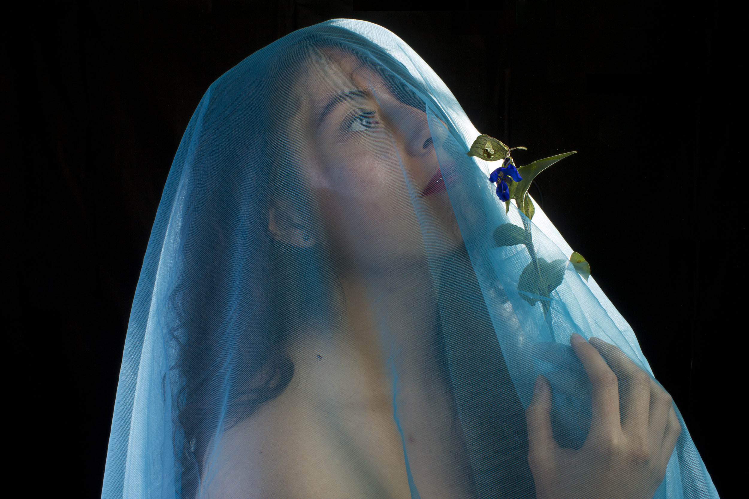 NudeWithVeil.jpg