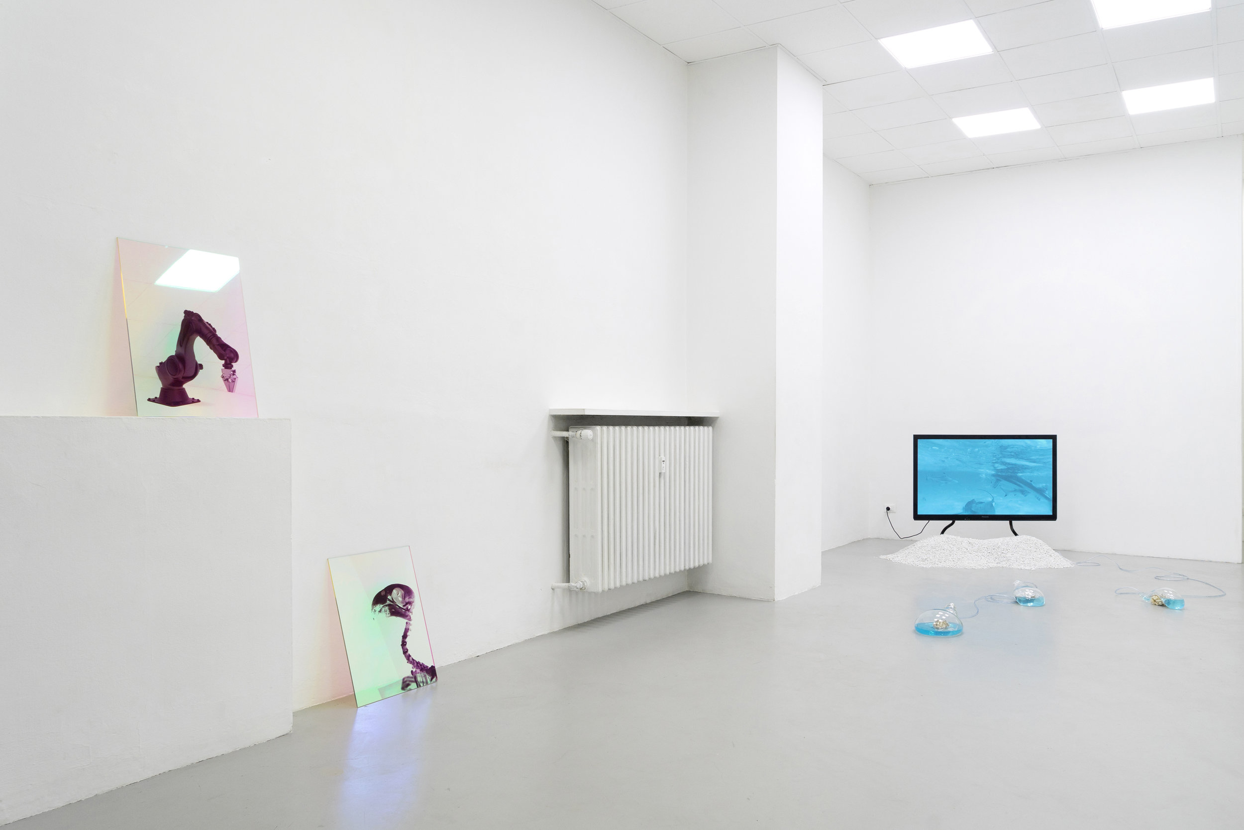 2 Paulo Arraiano, Sensorial Divinities. 2019. Exhibition view. Dimora Artica (ph Cesare Lopopolo).jpg