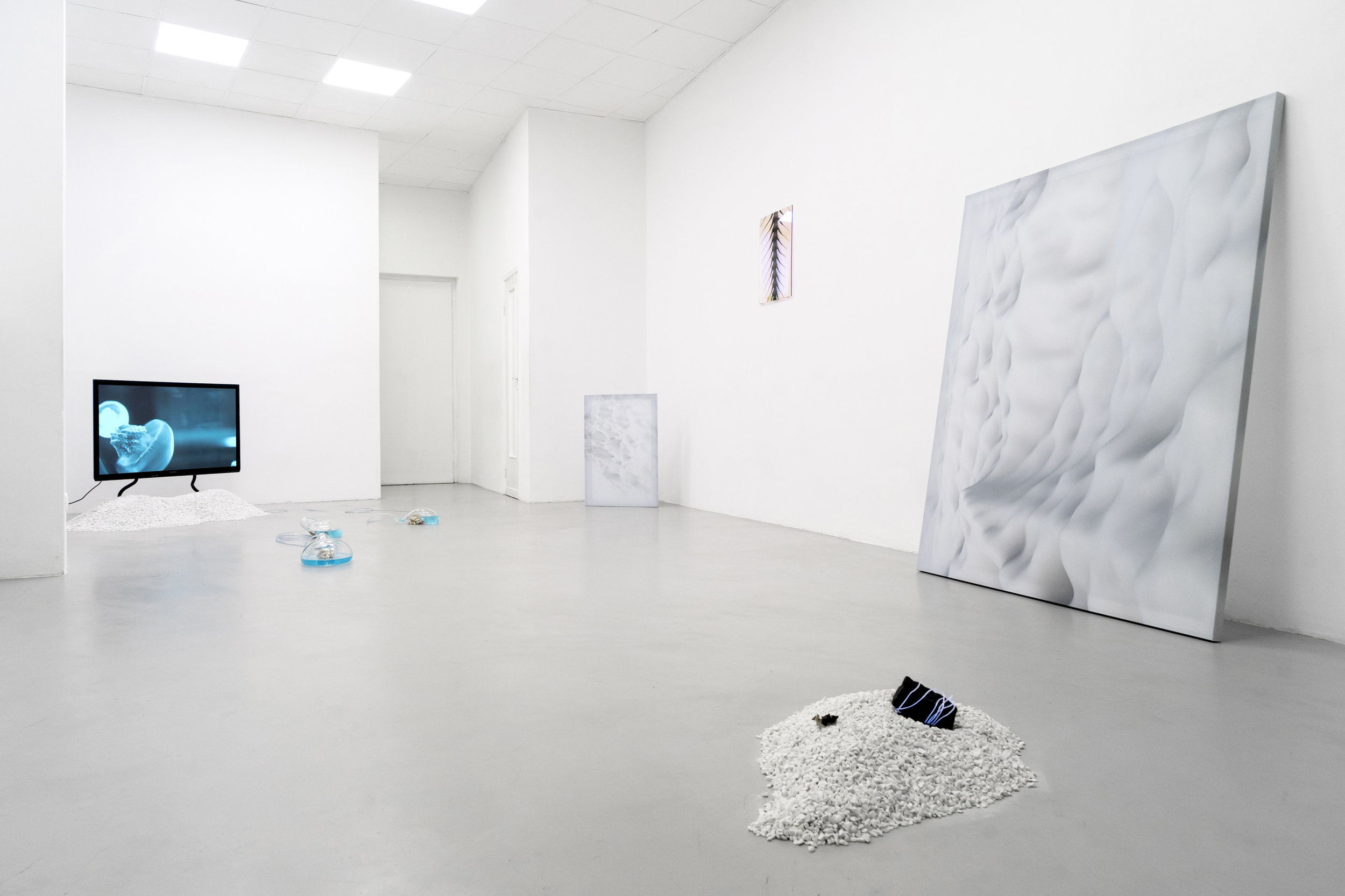 1 Paulo Arraiano, Sensorial Divinities. 2019. Exhibition view. Dimora Artica (ph Cesare Lopopolo).jpg