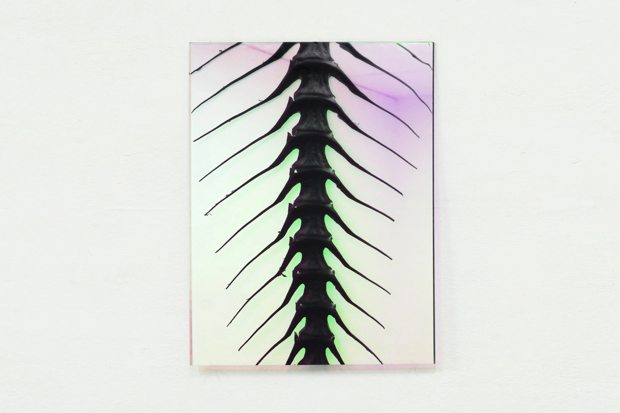24 Paulo Arraiano, Sensorial Divinities. 2019. Exhibition view. Dimora Artica (ph Cesare Lopopolo).jpg