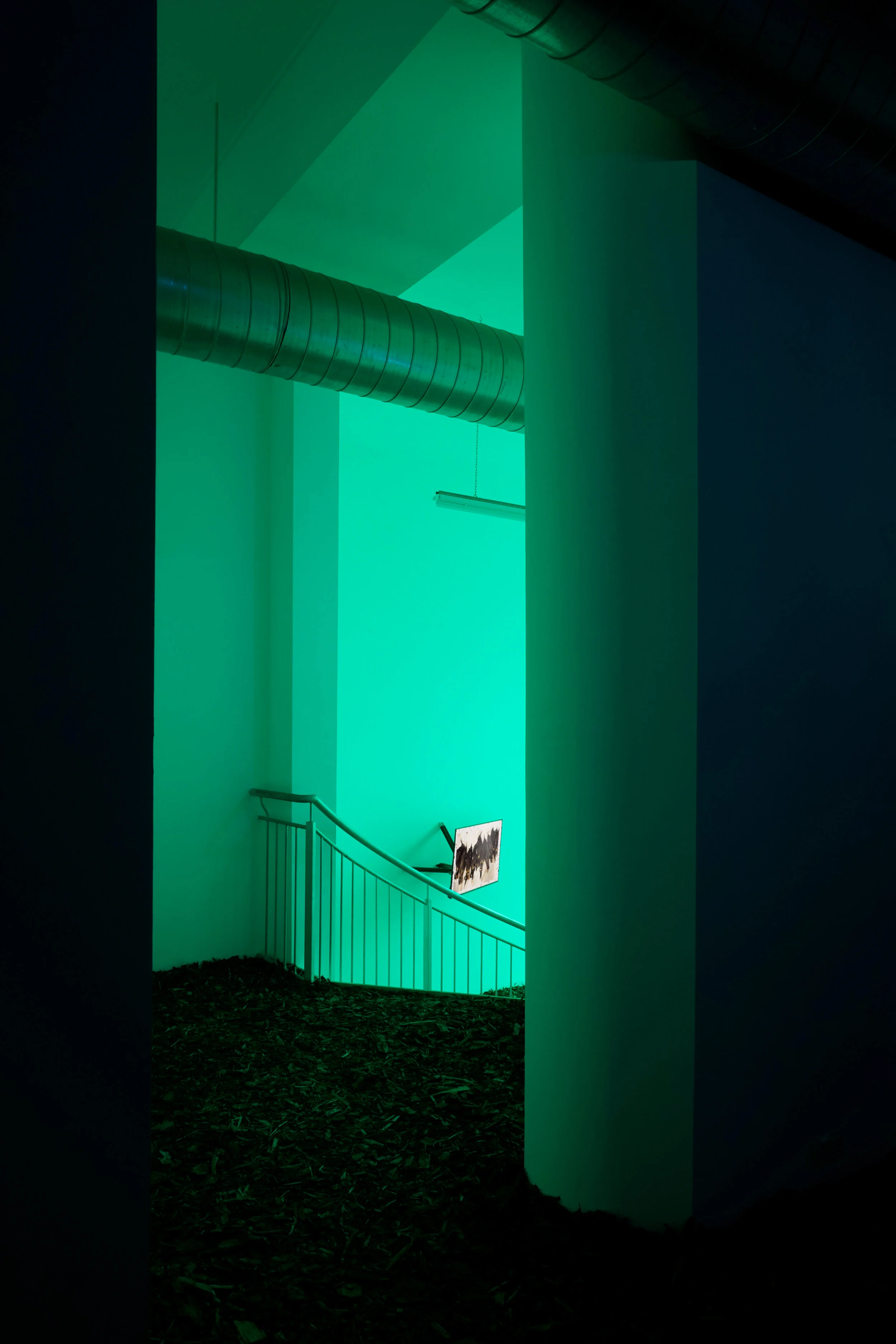 Pylon_Pylon-Lab_Re-Animated_Jakob_Kudsk_Steensen_03.jpg