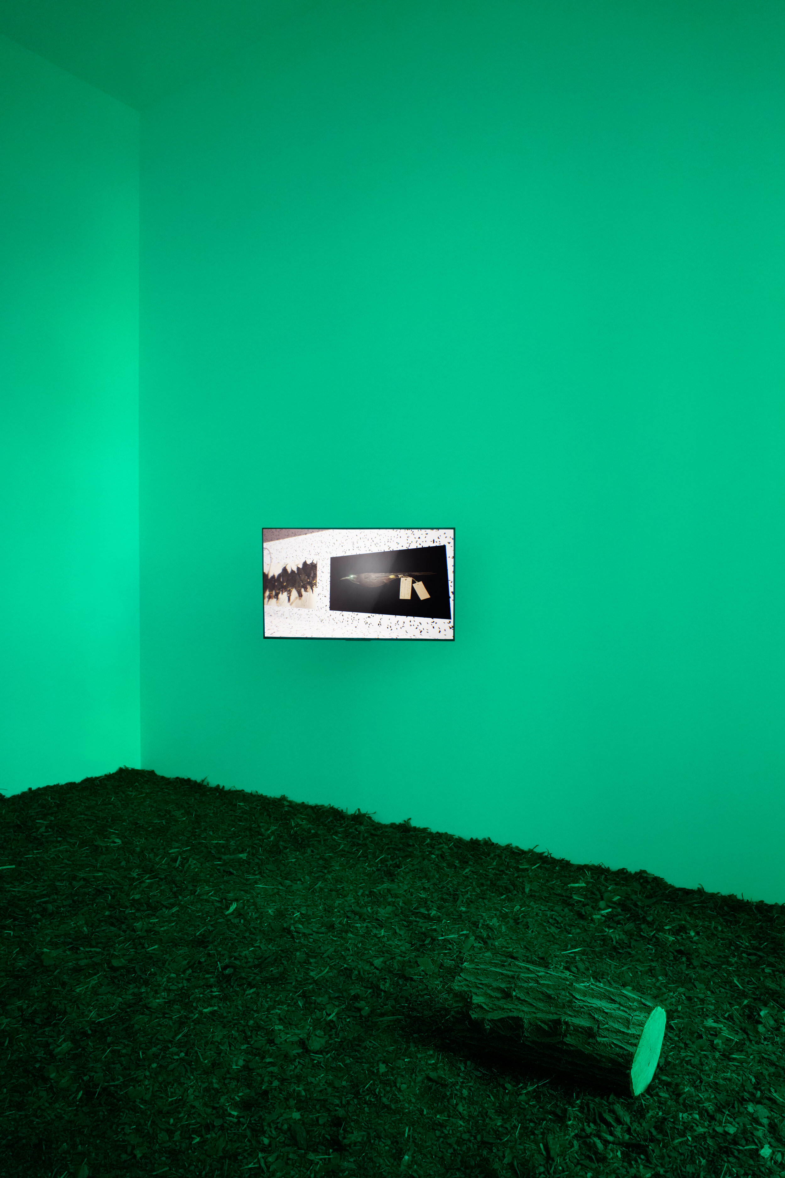 Pylon_Pylon-Lab_Re-Animated_Jakob_Kudsk_Steensen_08.jpg