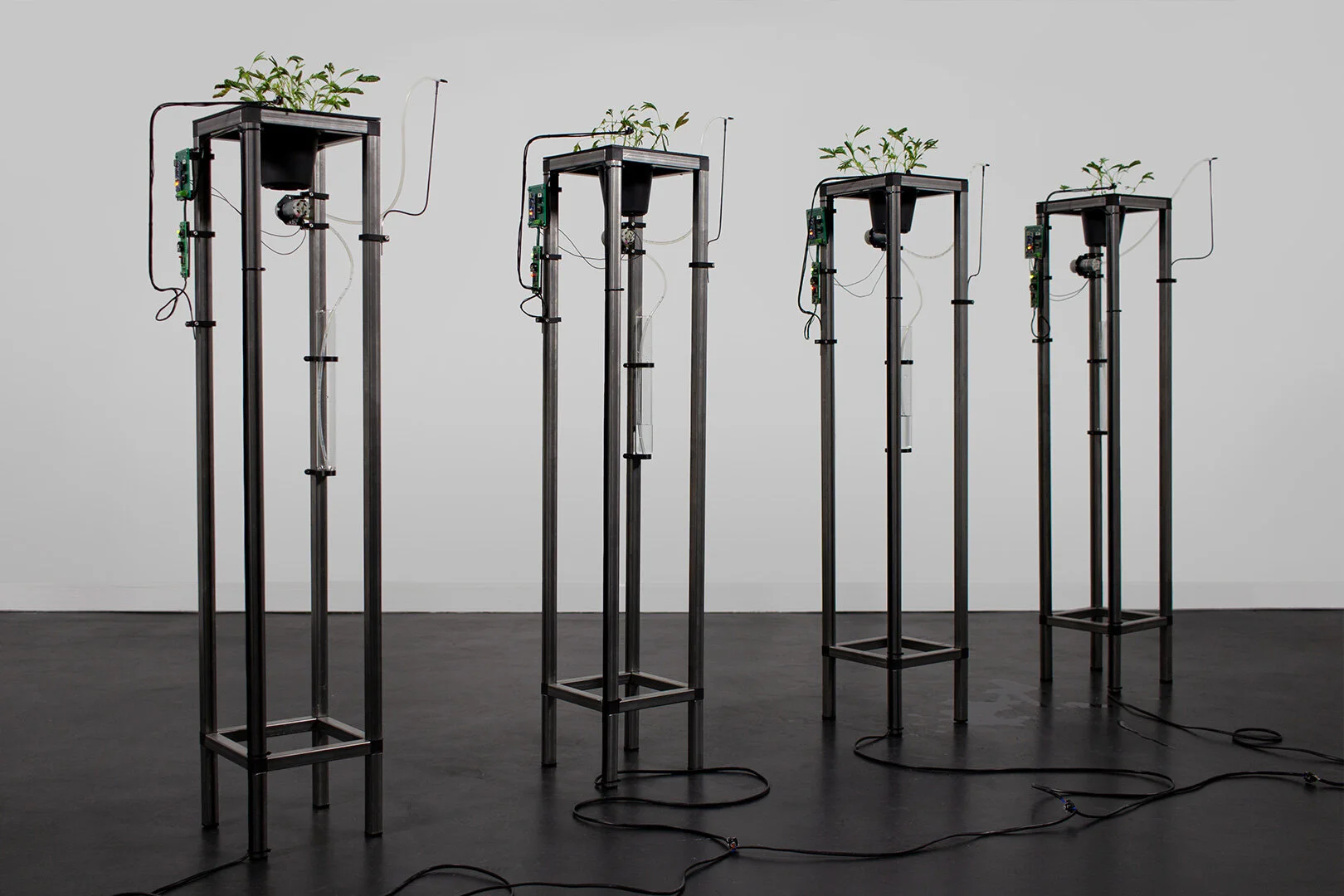 Installation-symbiotic-transmitter-ng.jpg