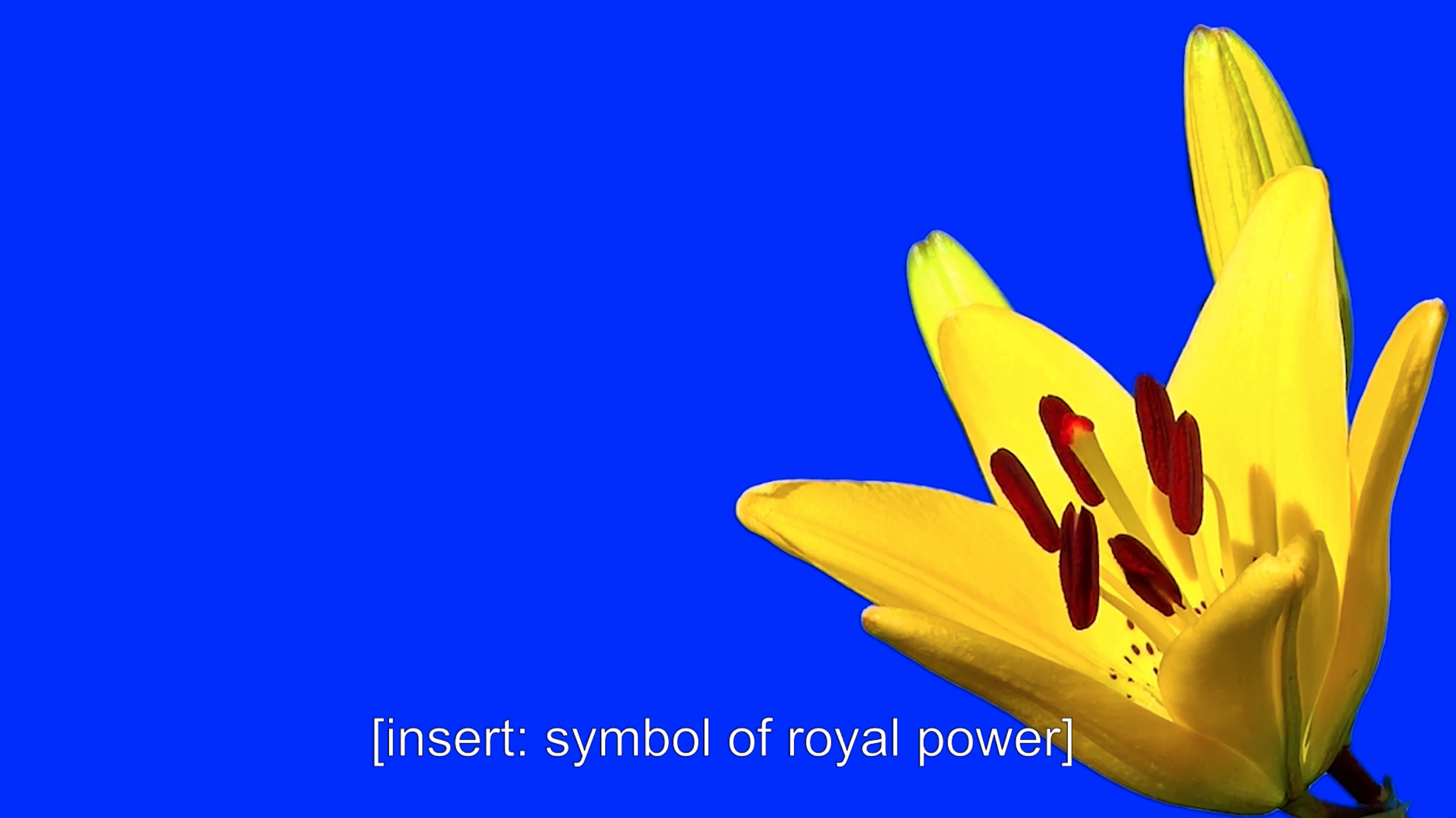 Royalist Dream (2018) 2.png