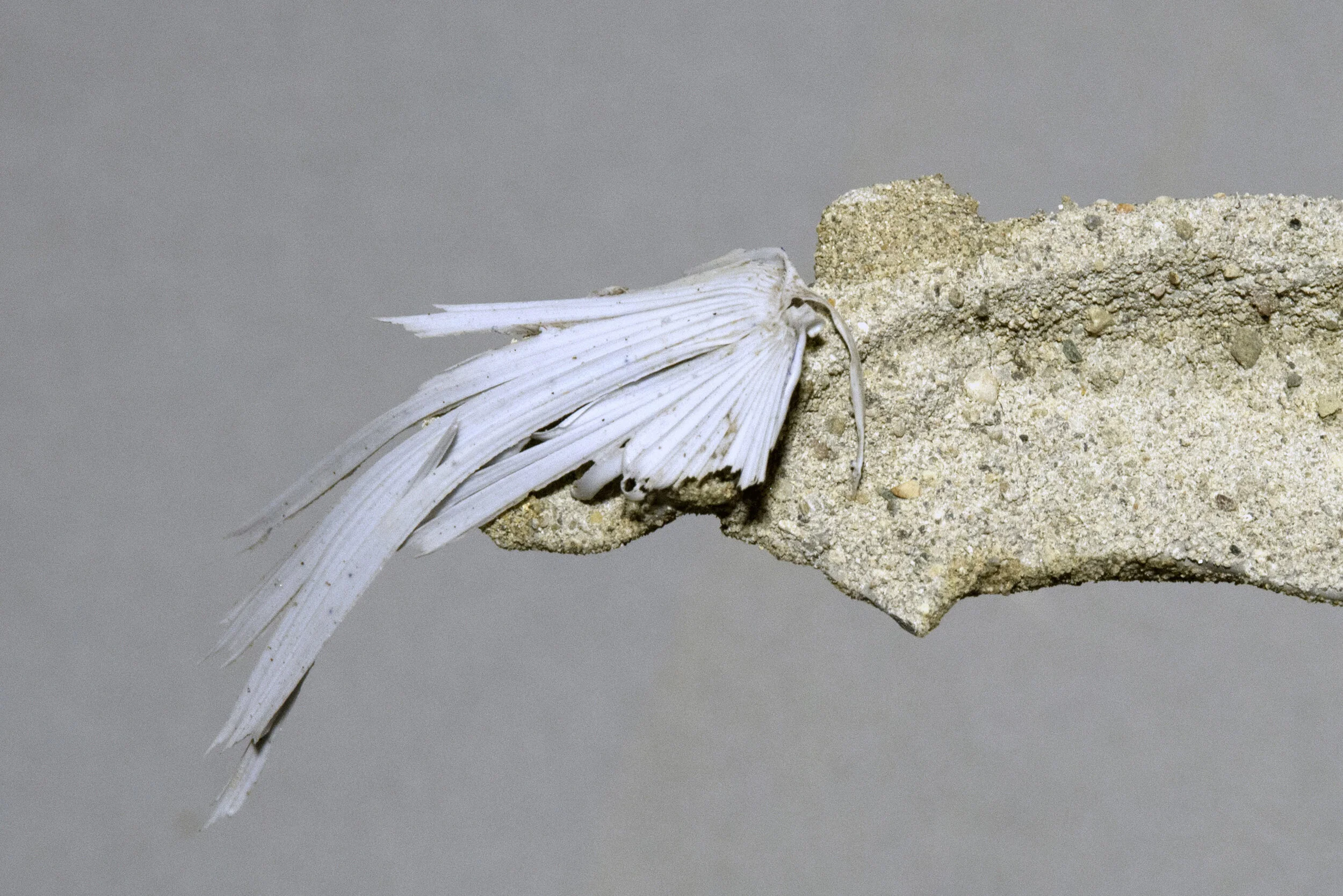SadStones22w.jpg