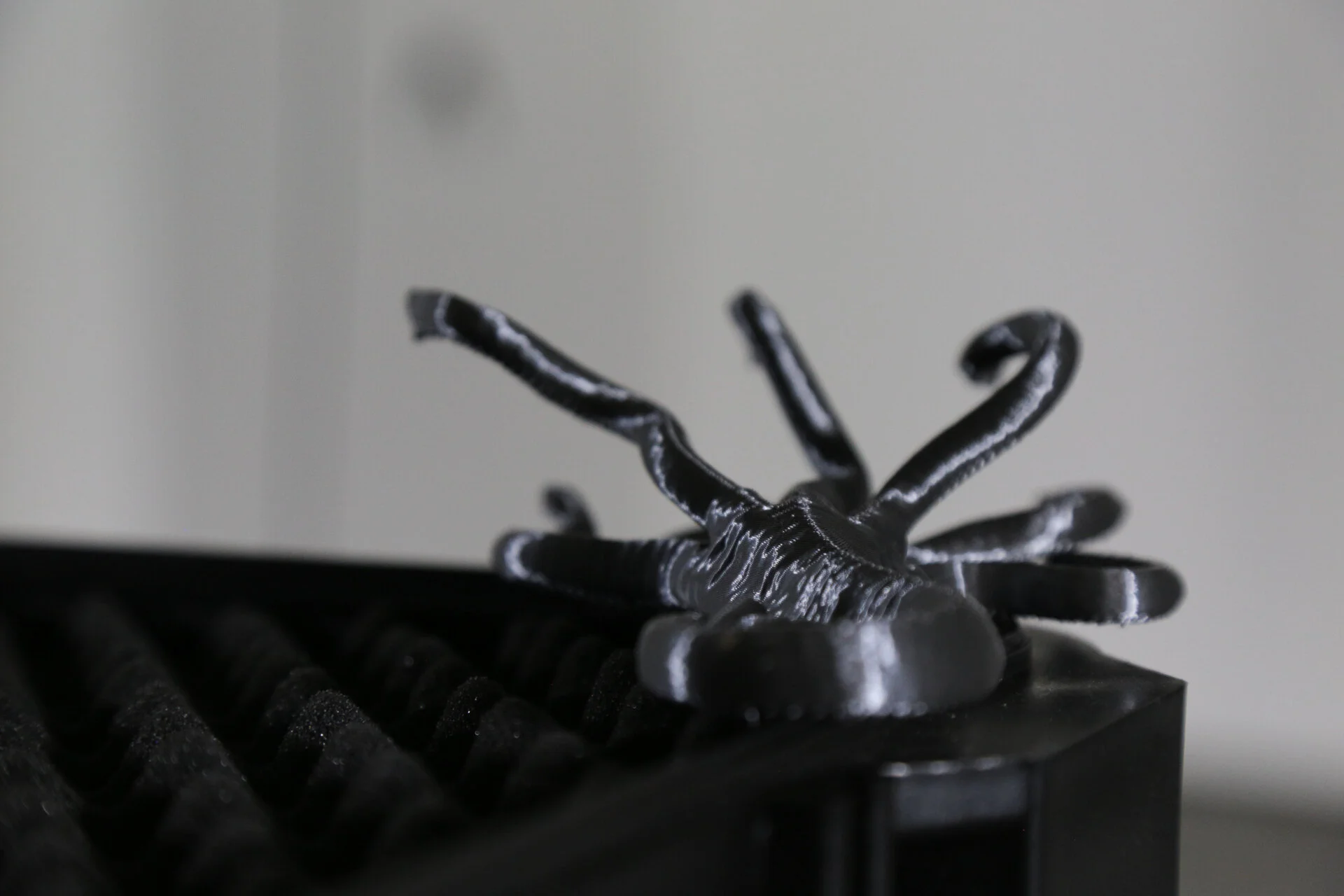 untitled-20.jpg