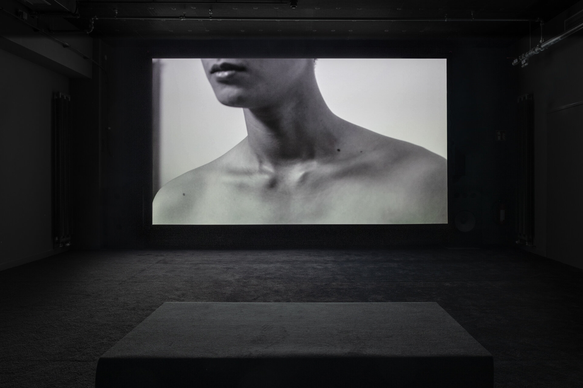  Sung Tieu, Memory Dispute, 2017, Video Installation – photo  (c) Luca Girardini, CC NC-SA 4.0 