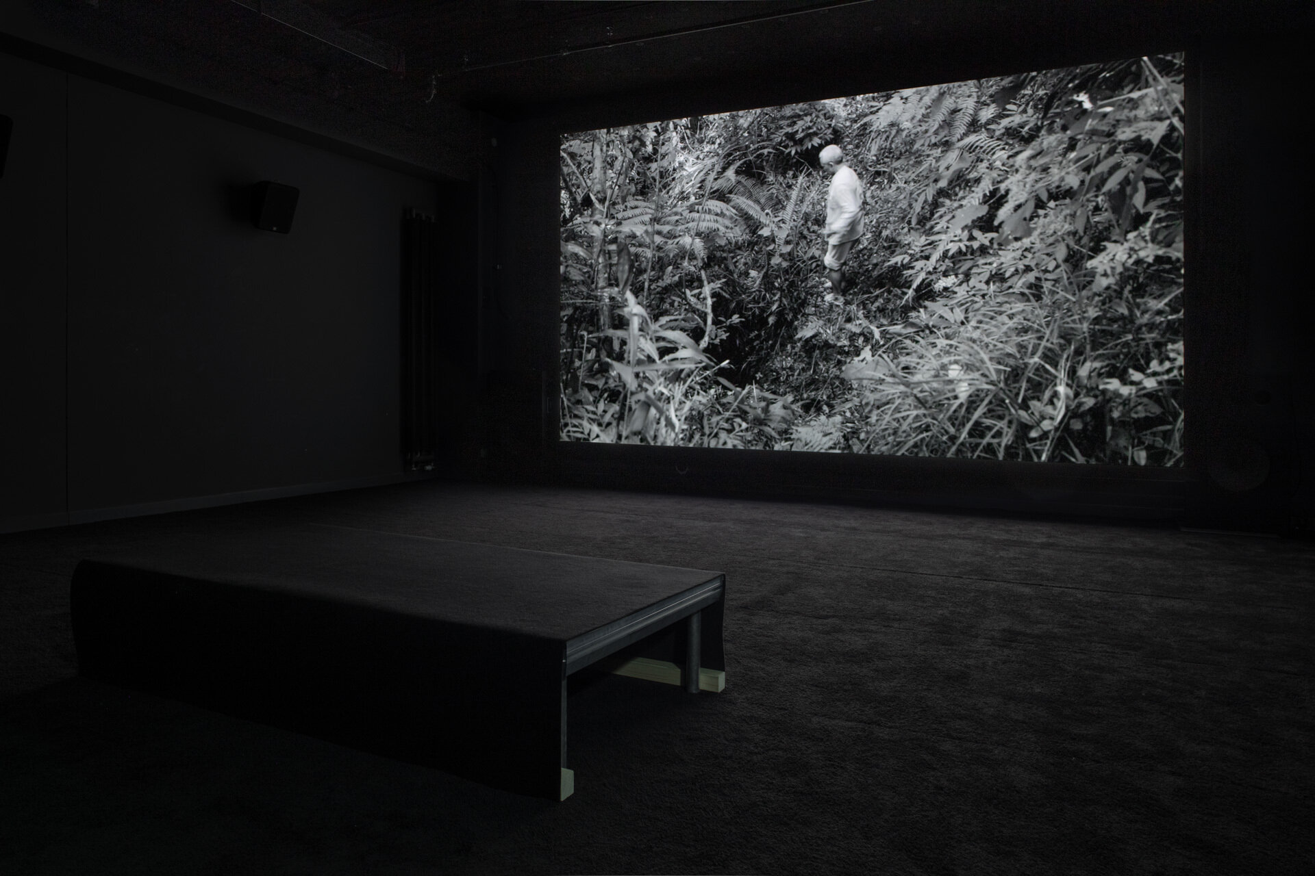  Sung Tieu, Memory Dispute, 2017, Video Installation – photo  (c) Luca Girardini, CC NC-SA 4.0 