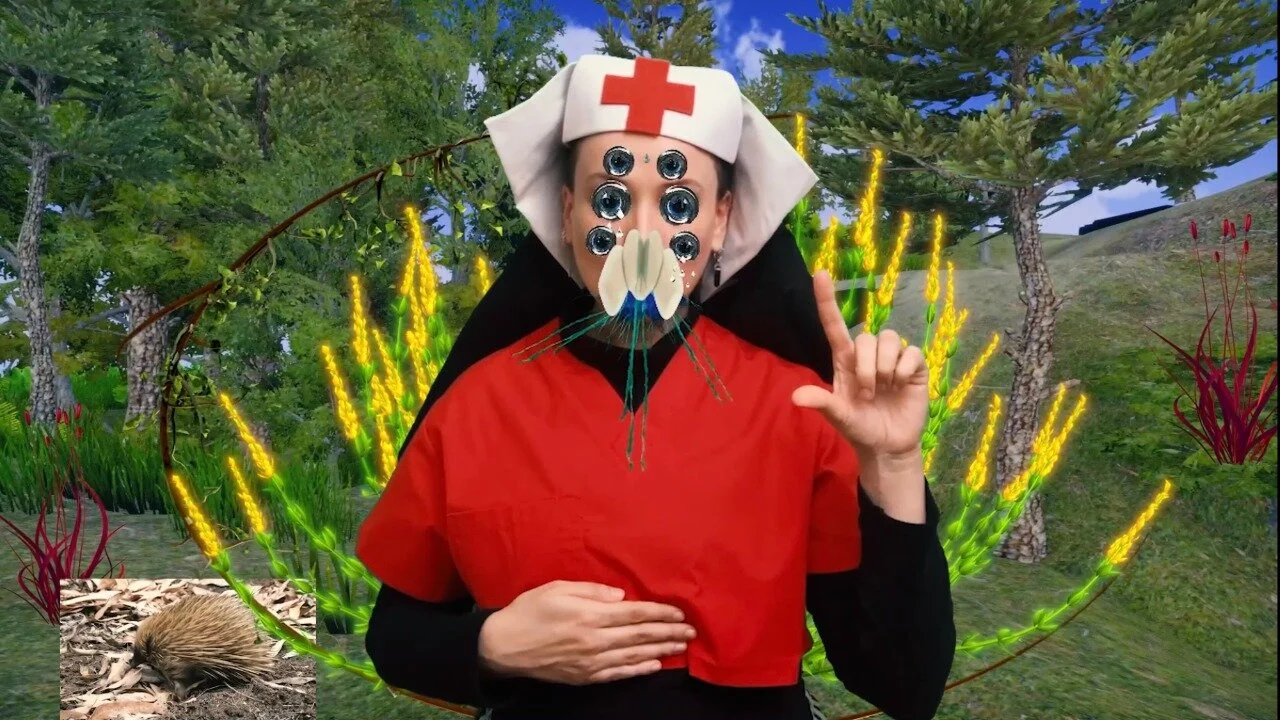 Semana 265_1  Políticas Curativas: Imperceptible por biotípico