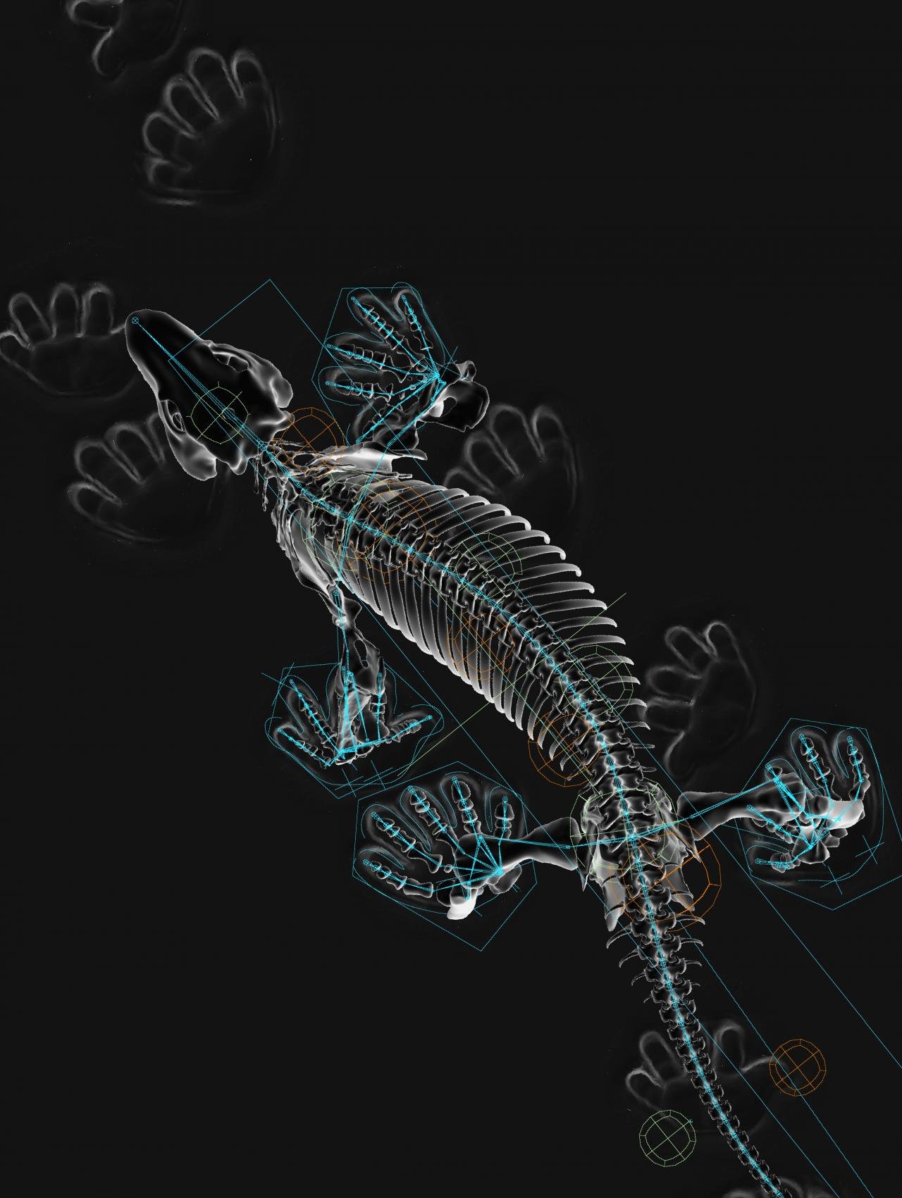 »Photomontage of OroBOT and 3D digital skeleton of Orobates«