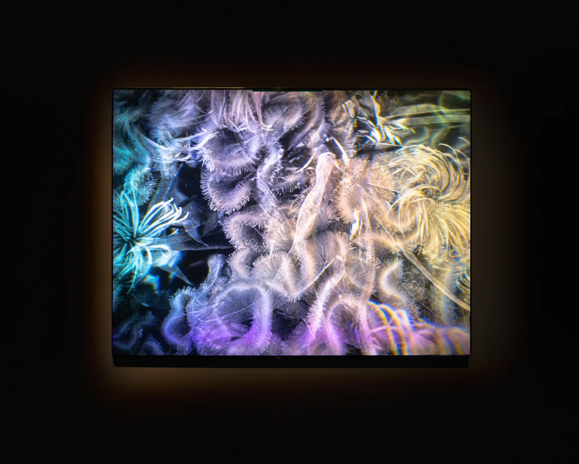  Sarah Meyohas, Interference #15, 2023 