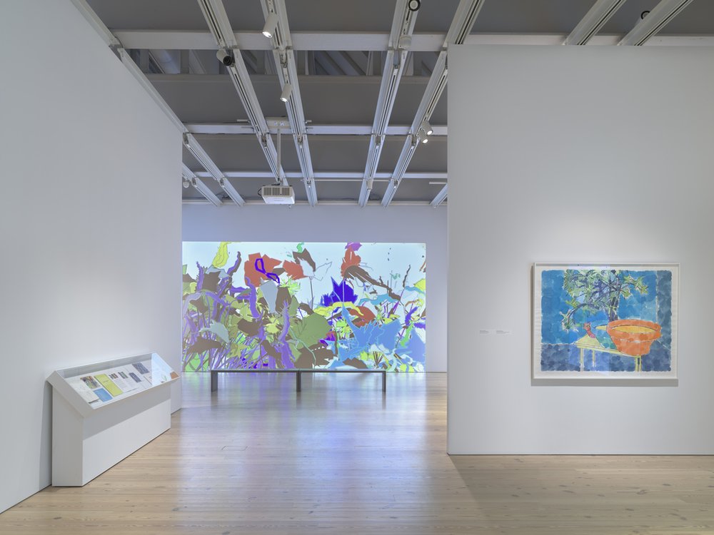 Vista de exposición Harold Cohen: AARON (Whitney Museum of American Art, New York, febrero 3–mayo 19, 2024)