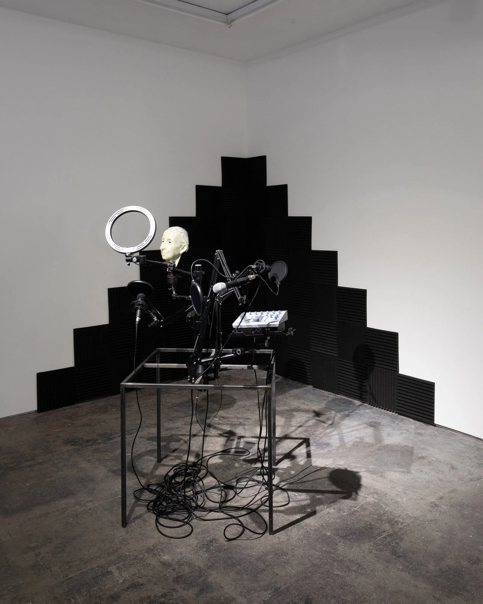 Nina Davies, Audio Drift, 2024